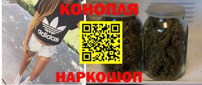 прущие грибы Малоярославец