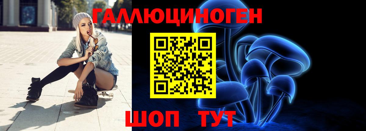 Псилоцибиновые грибы Magic Shrooms  сколько стоит  Хасавюрт  Вход с VPN  Галлюциногенные грибы Psilocybine cubensis 